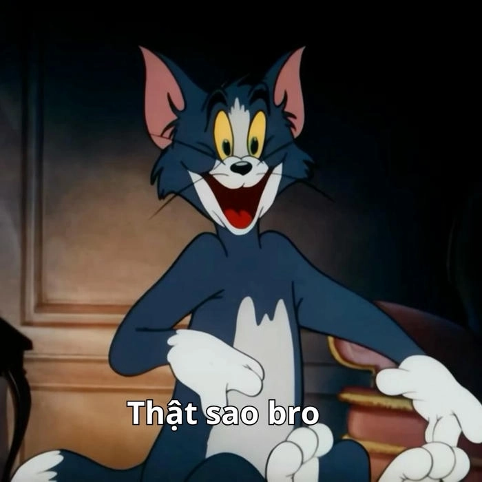 mèo tom và jerry meme siêu vui nhộn 