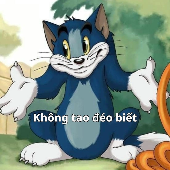 mèo tom và jerry meme cực đáng yêu 