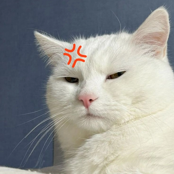 Hình ảnh meme giận đáng yêu