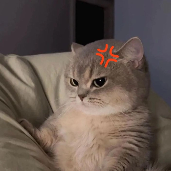 Meme giận dễ thương rất hài