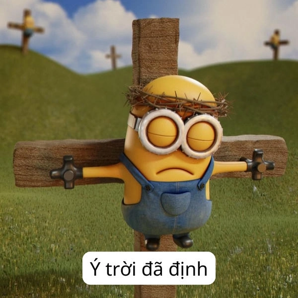 Hình meme ý trời buồn cười 