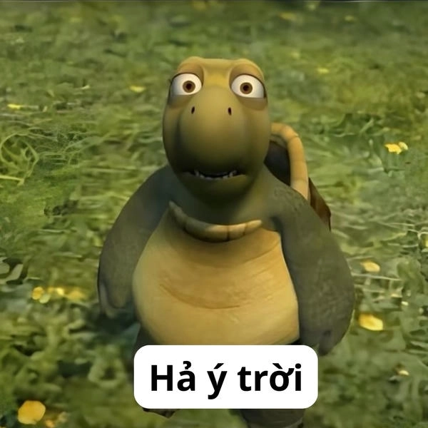 Meme ý trời khuấy mạng xã hội 