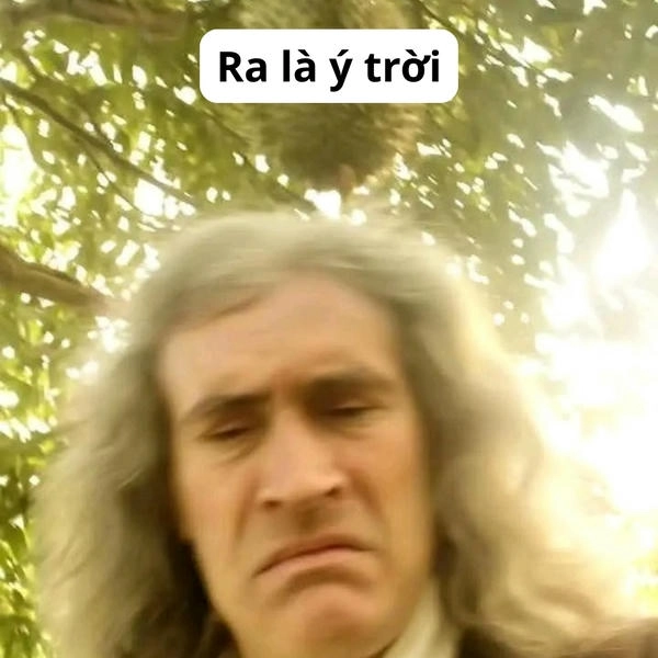 Meme ý trời cực kỳ hài 