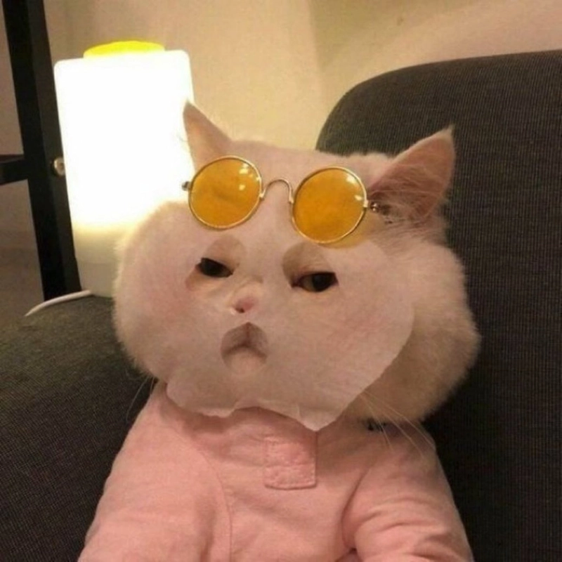 meme mèo đắp mặt nạ