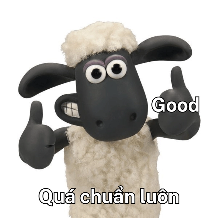 Ảnh meme quá chuẩn luôn 