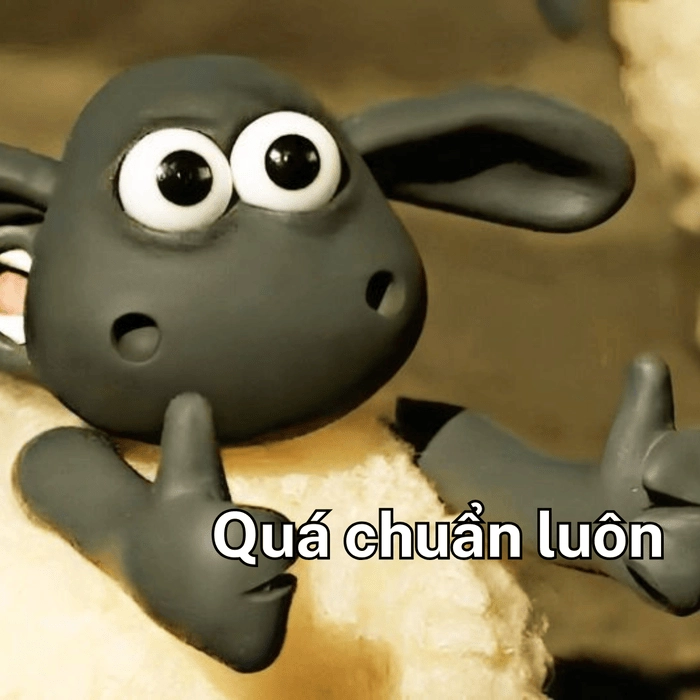chuẩn cmn luôn meme hài