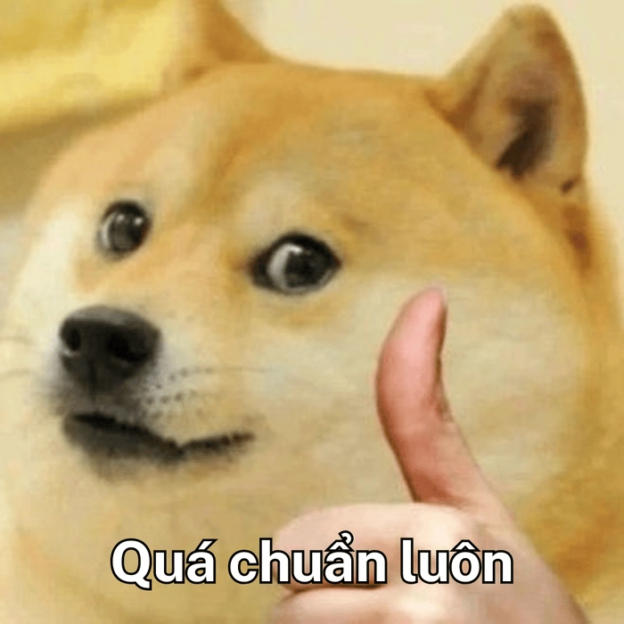Ảnh hài meme quá chuẩn luôn 