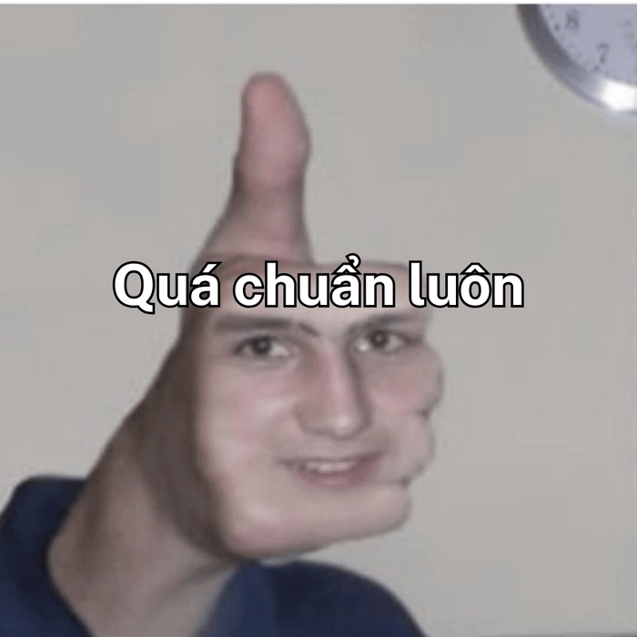 Meme quá chuẩn hài hước 