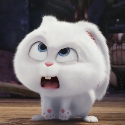 meme thỏ Snowball tức giận bá đạo 