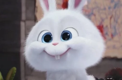 118+ hình ảnh Thỏ Snowball meme khiến dân mạng thích thú