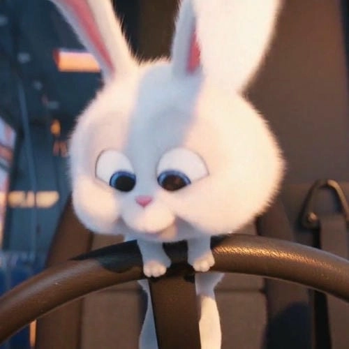 ảnh hoạt hình thỏ Snowball cute cho bé 