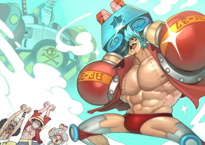 hình ảnh franky one piece