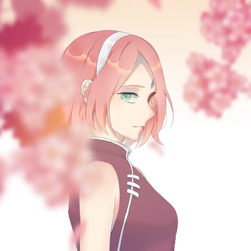 Ảnh Haruno Sakura 6