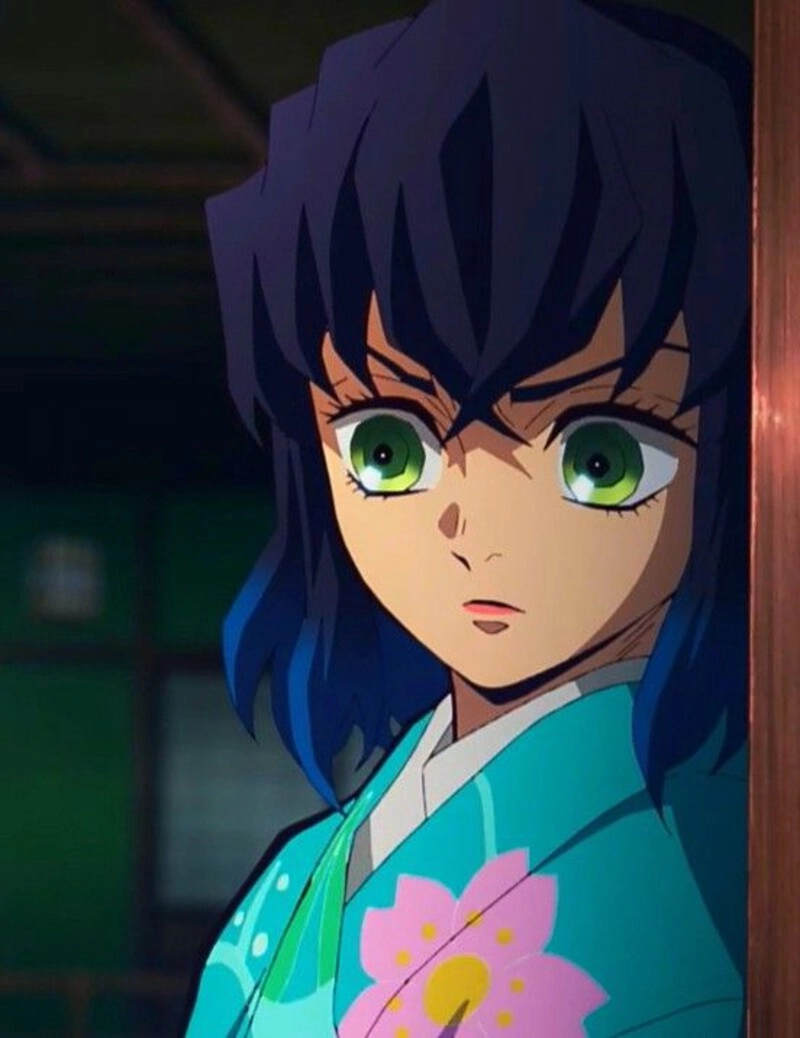 ảnh Hashibira Inosuke