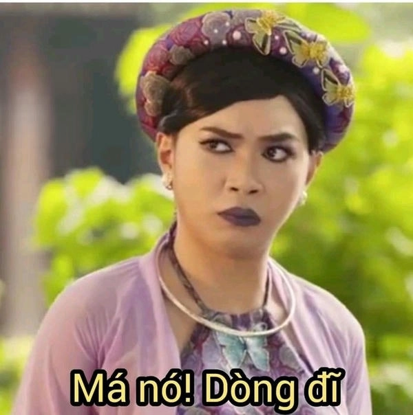 ảnh chế meme chửi