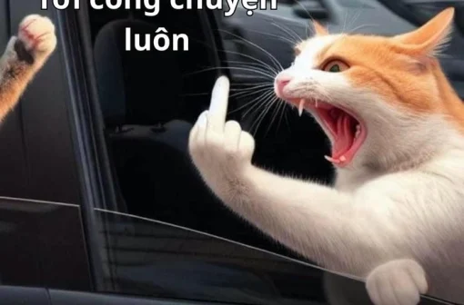 Top 95+ bức ảnh chế meme hài bựa cực mặn không thể bỏ qua