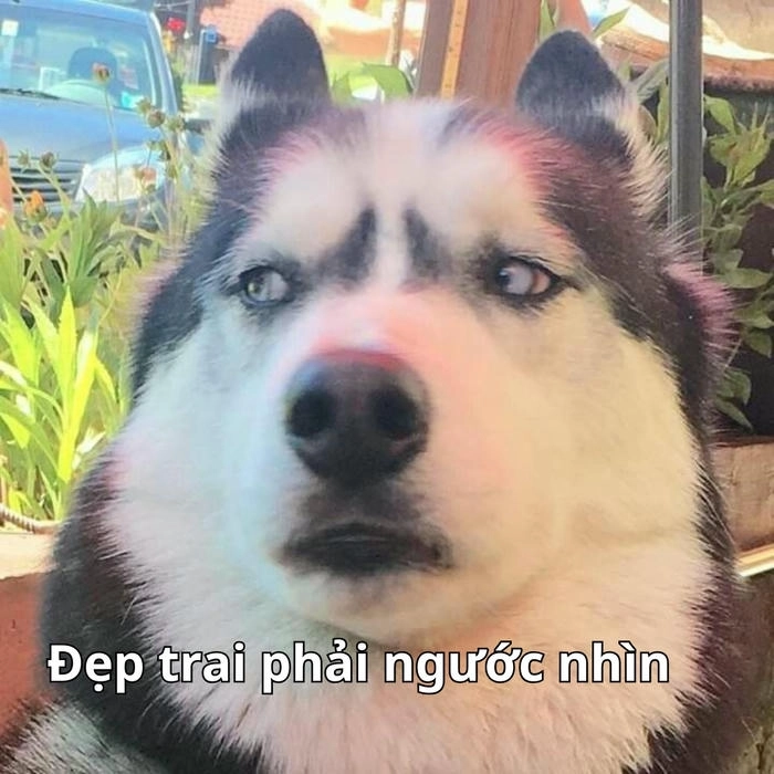 ảnh meme chế bá đạo