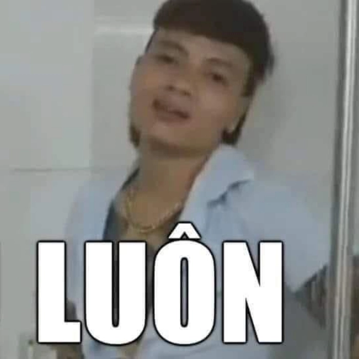 ảnh khá bảnh meme dễ thương