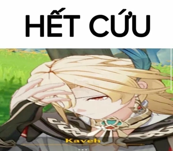 ảnh meme hết cứu cực hài