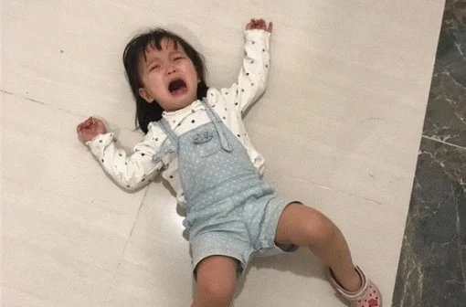 68+ ảnh giãy đành đạch meme chế hài hước cười ra nước mắt