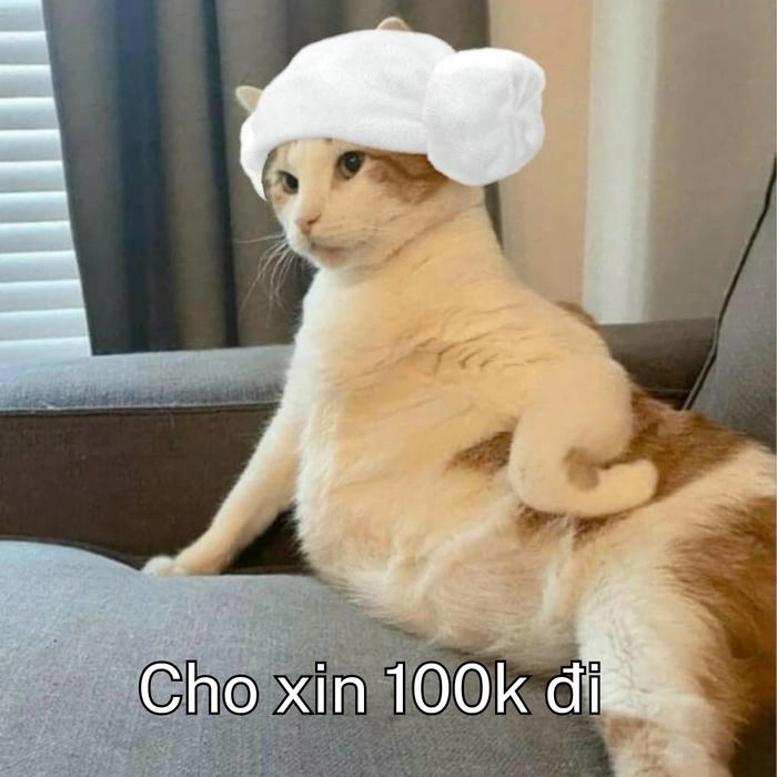 ăn xin meme sang chảnh