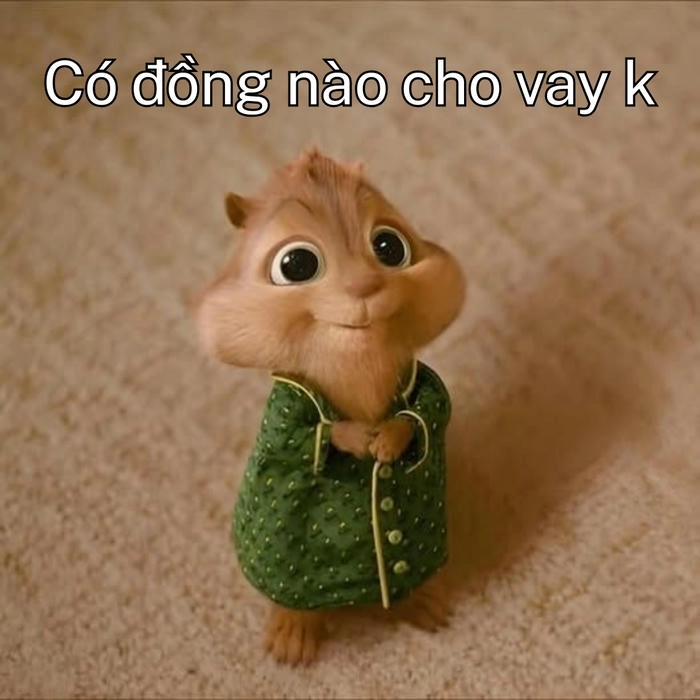 hình meme ăn xin