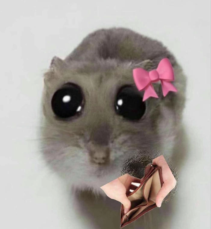 meme ăn xin dễ thương