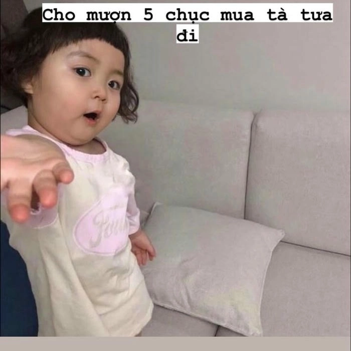 ăn xin meme