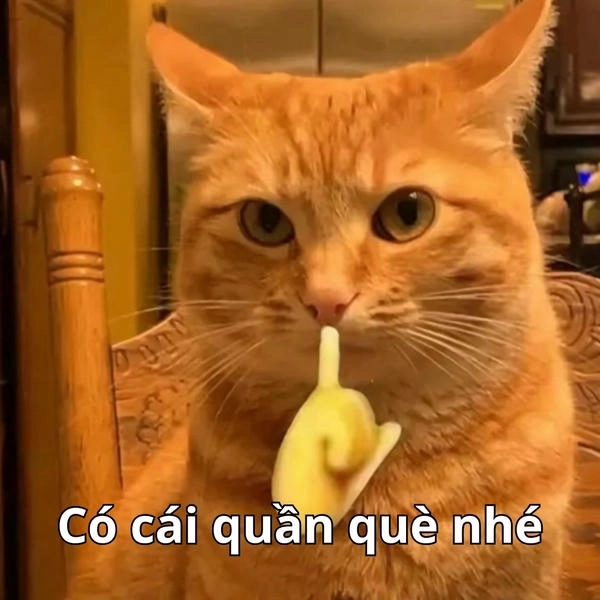 meme bá đạo quần què