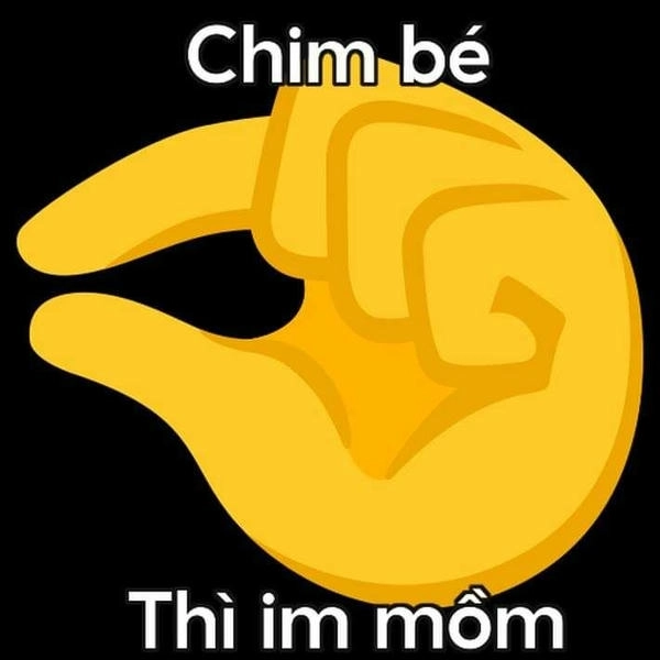 meme chế chửi bậy