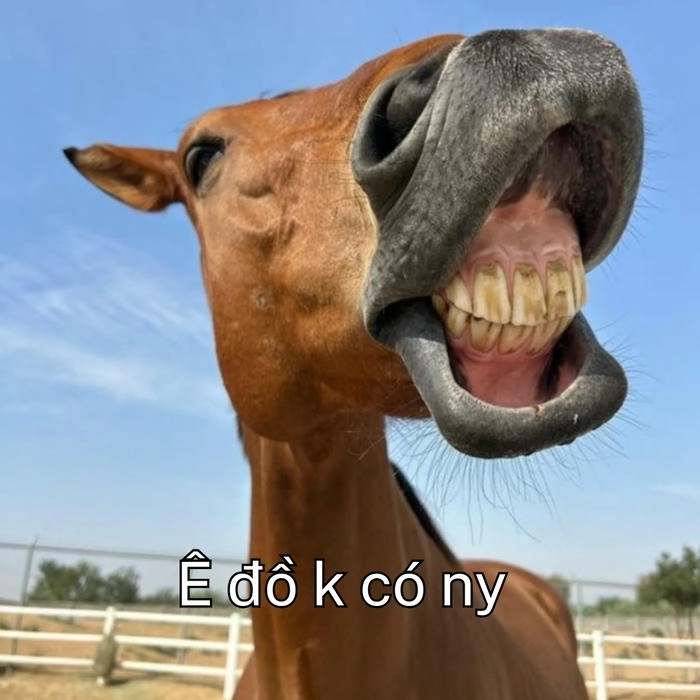 ê ê meme
