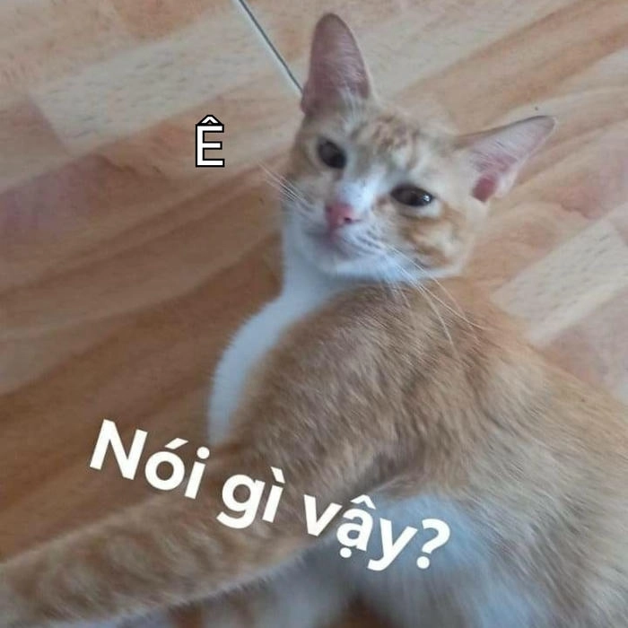 meme hài ê nha