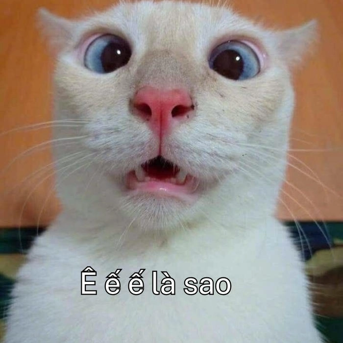meme hài chữ ê