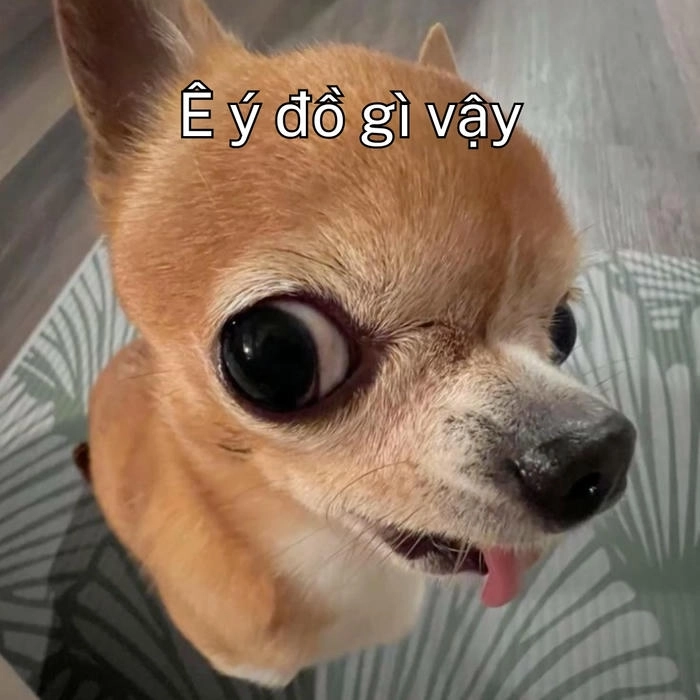 ảnh chế meme chữ ê