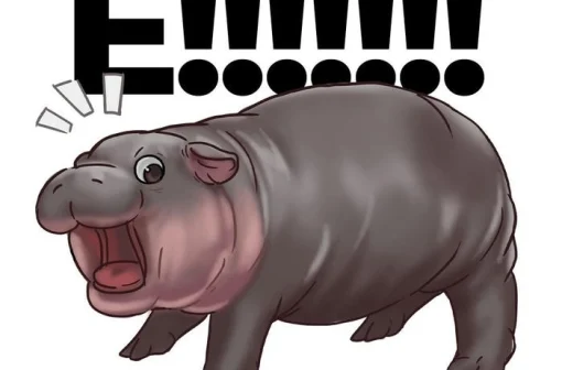 135+ hình ảnh meme ê nha, ê ê, ehh, eeww meme hài hước nhất
