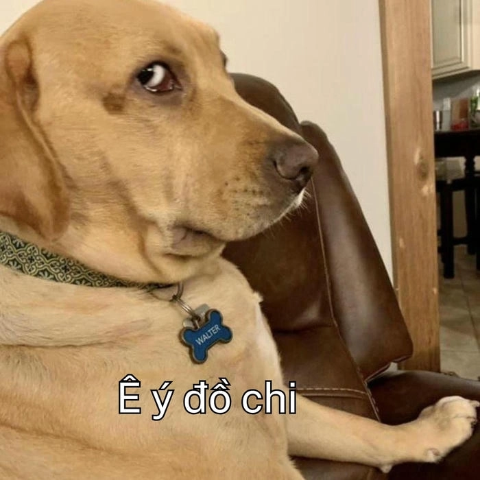 ảnh chế ê nha meme
