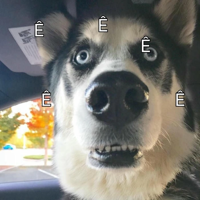 ảnh chế meme ê nha