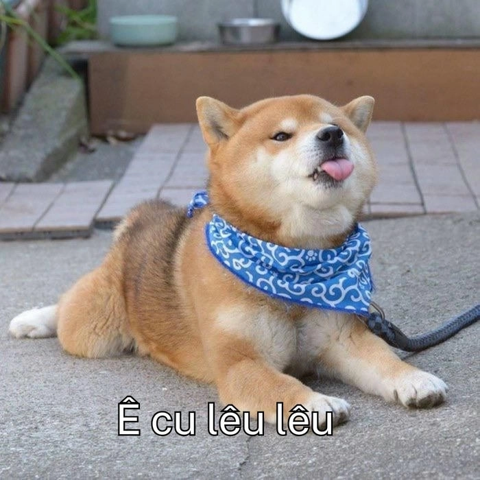 eeww meme