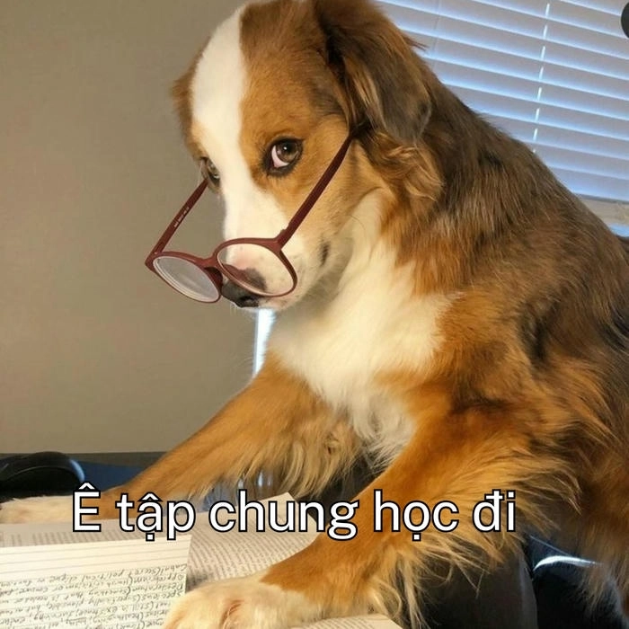 hình meme ê nha
