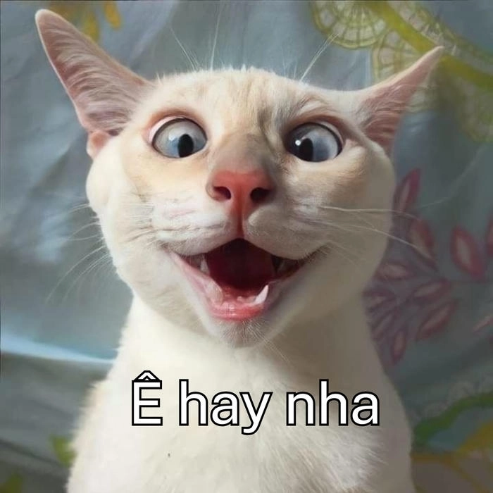 ê nha meme