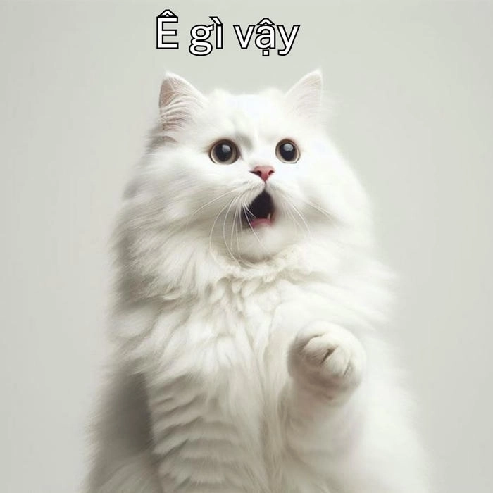 meme ê