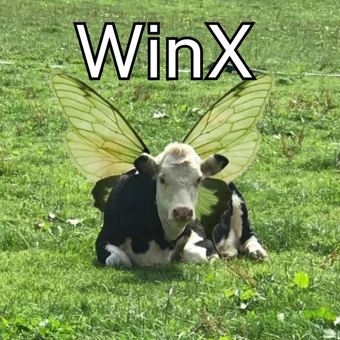 Ảnh meme con bò hài bựa