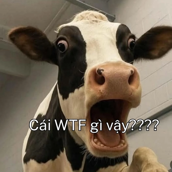 Meme con bò vui nhộn nhất