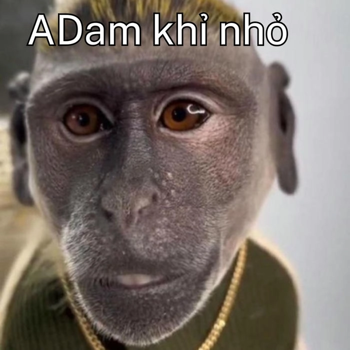 eme con khỉ nói vào tai