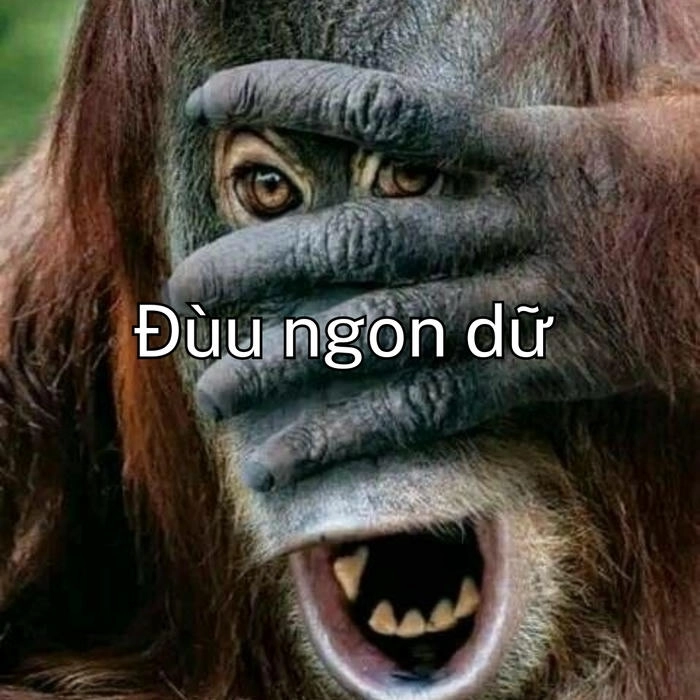 meme-con-khi-19