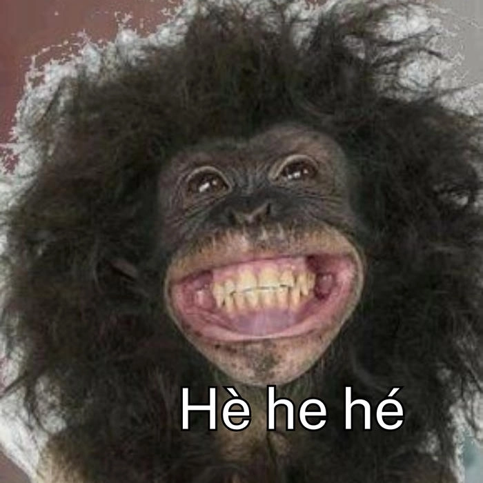 meme con khỉ hài hước