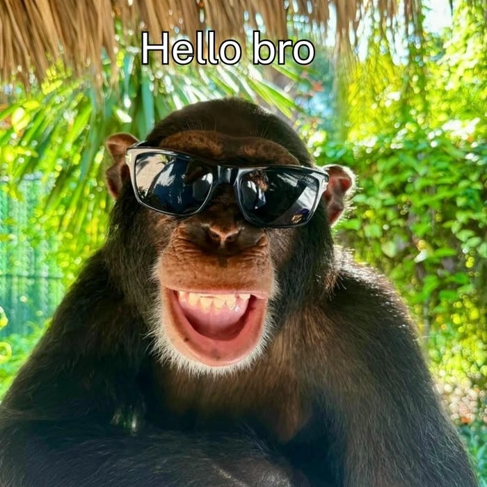 meme con khỉ cười
