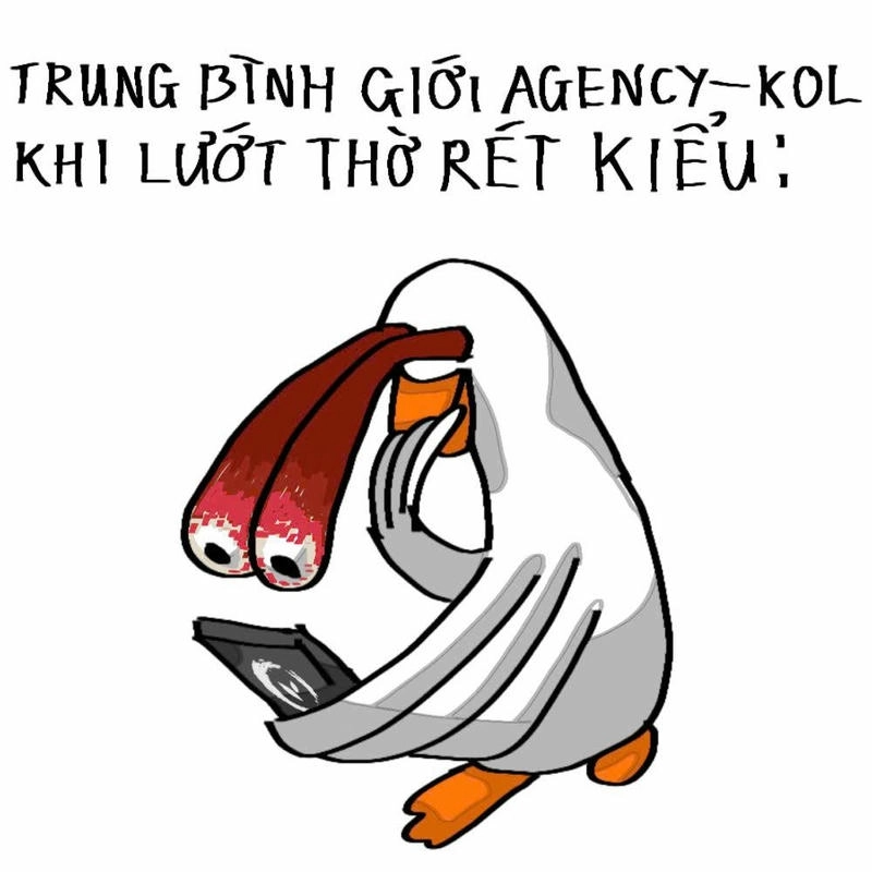 ảnh meme con vịt