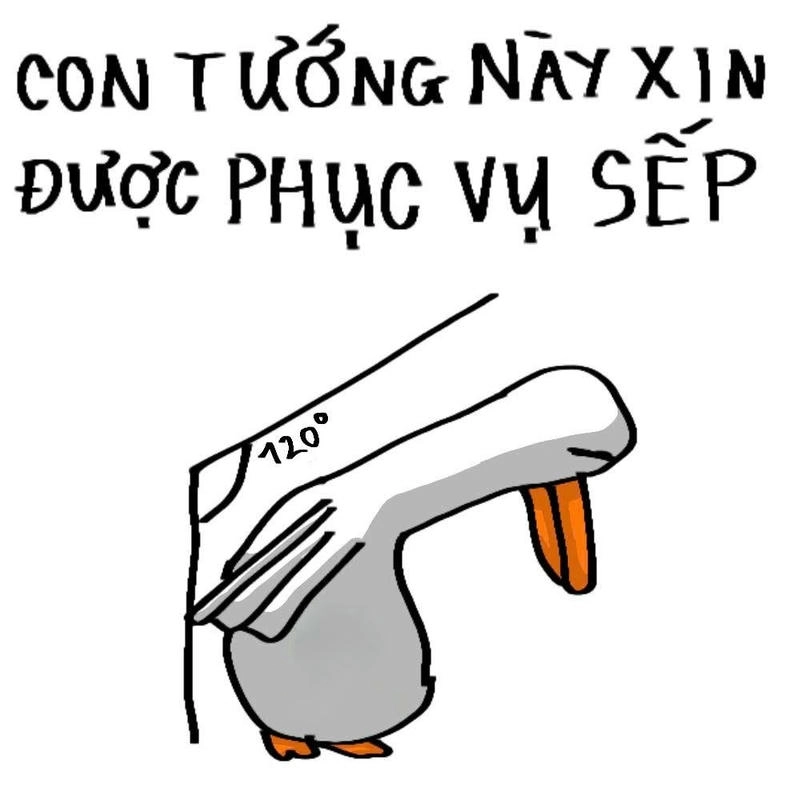 meme con vịt con tướng này