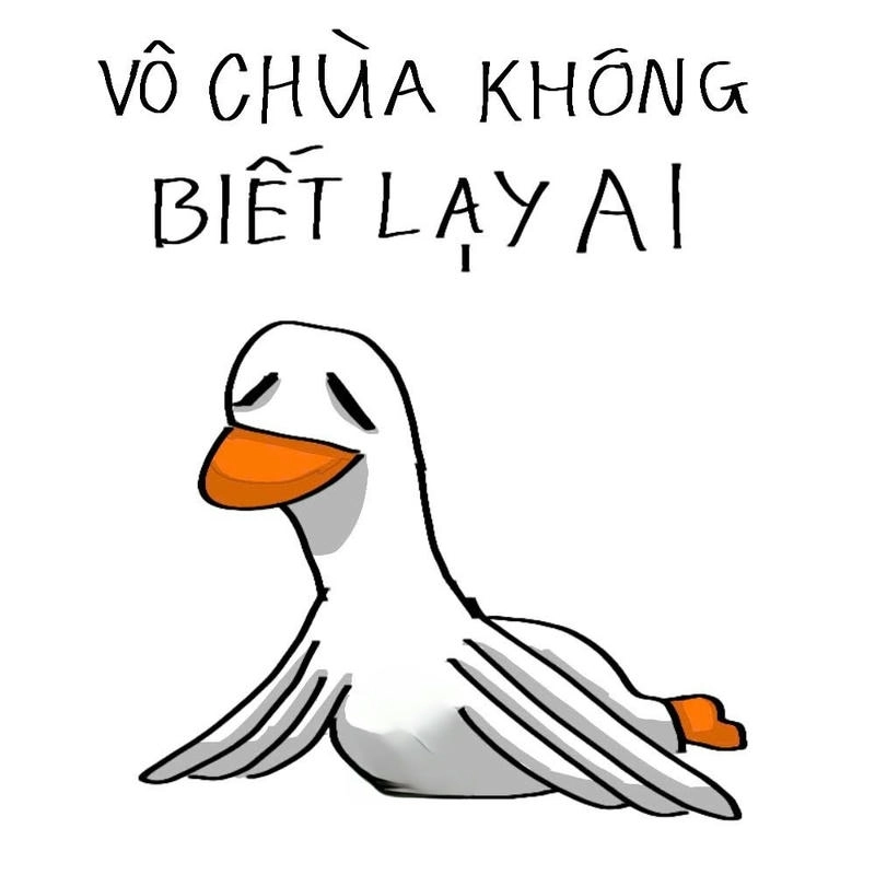 meme con vịt cảm phục